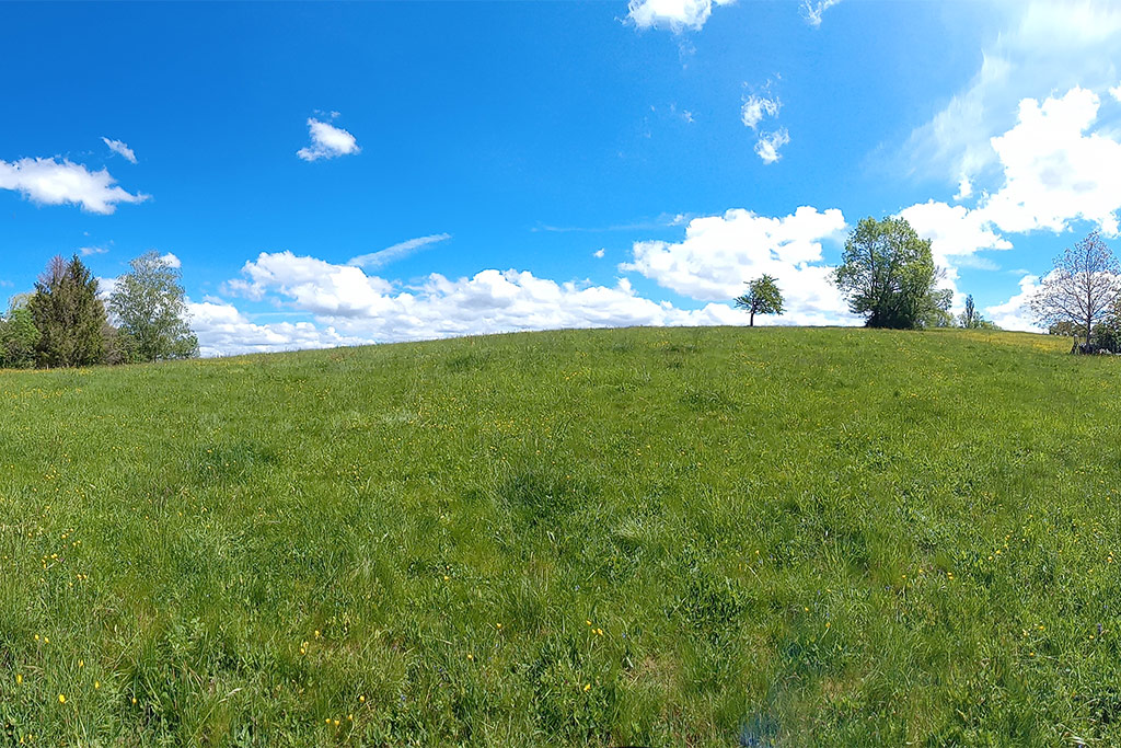 PLAINOISEAU_LACITADELLE_3