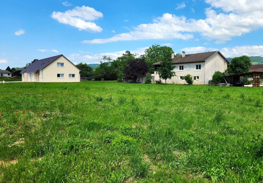 20240624_153240 – Copie