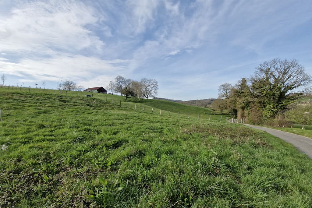 VILLENEUVE_AUCHAMOIS_6